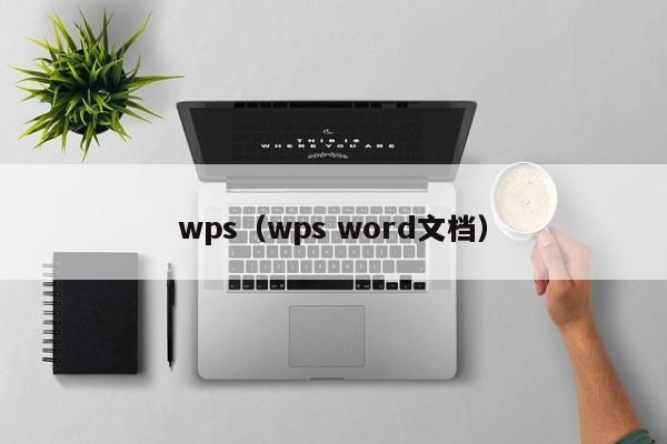 wps（wps word文档）